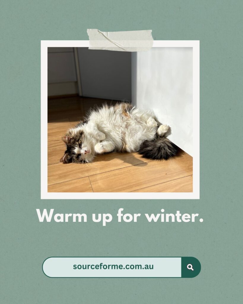 Warm Up for Winter - Cat in the sun